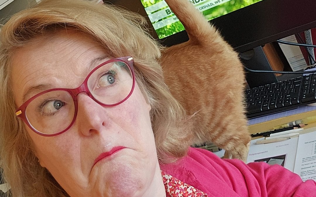 Online verbinding vinden? Juist in creativiteit werkt het